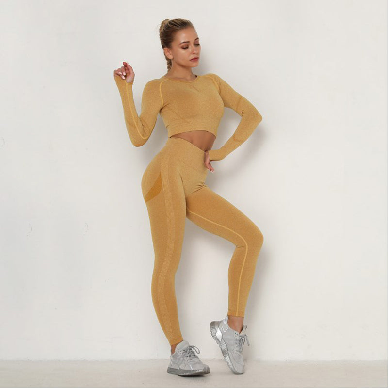 Women Seamless Workout Outfits Athletic Set Leggings + Long Sleeve Top