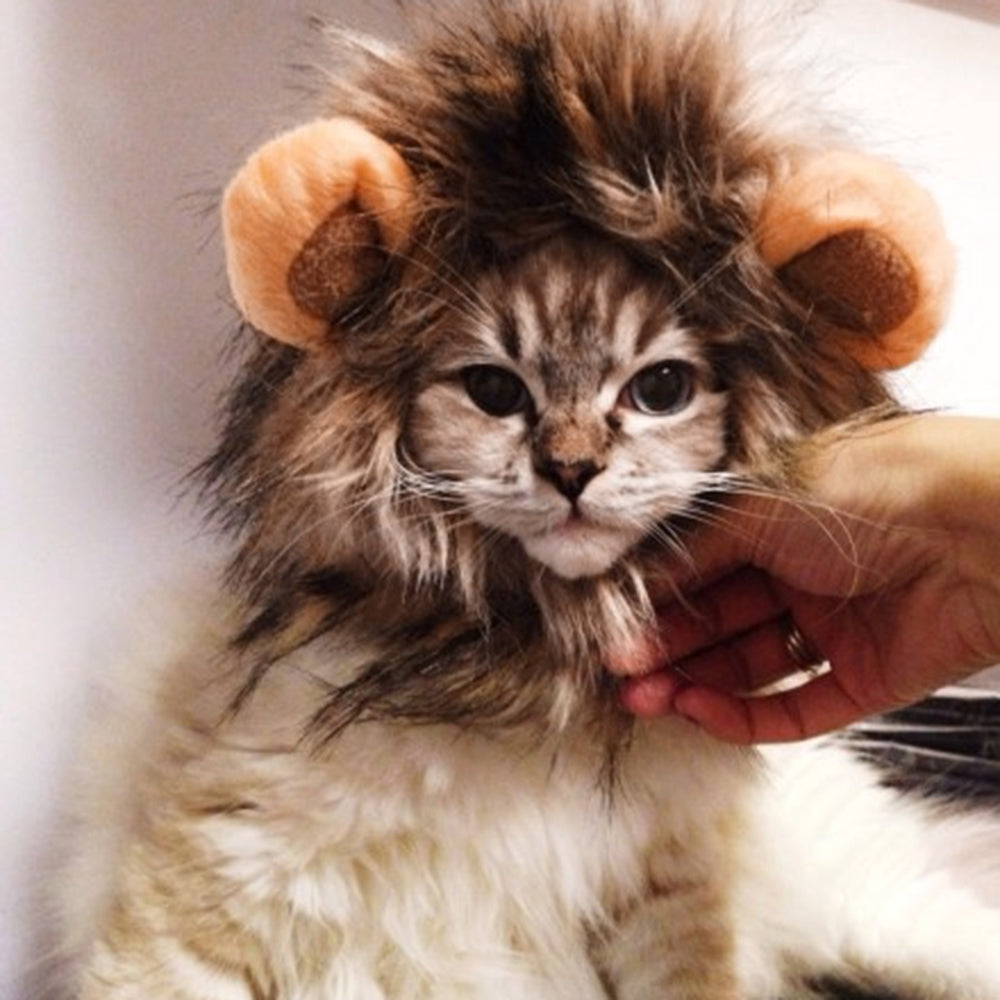 Funny Cute Pet Cat Costume Lion Mane Wig Cap Hat For Cat Dog Halloween Christmas Clothes Fancy Dress With Ears Pet Clothes