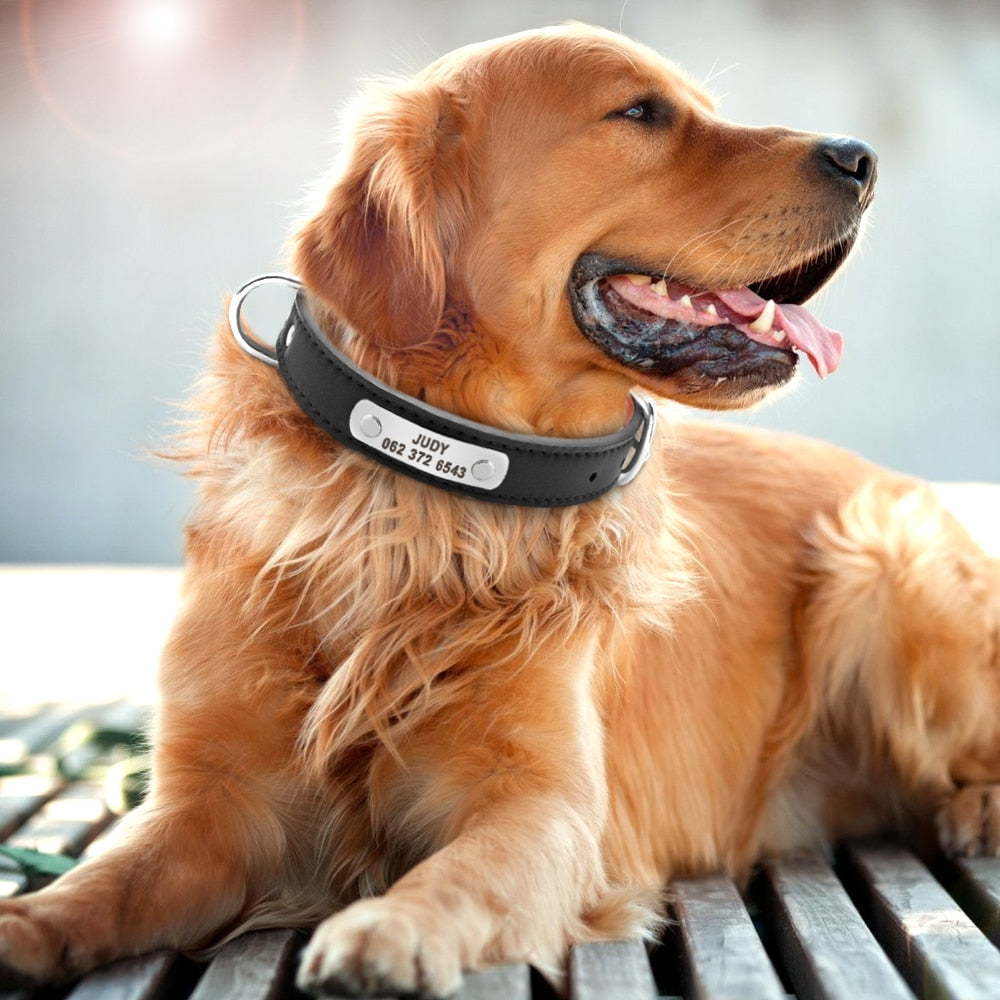 Large Durable Personalized Dog Collar PU Leather Padded Pet ID Collars Customized for Small Medium Large Dogs Cat 4 Size